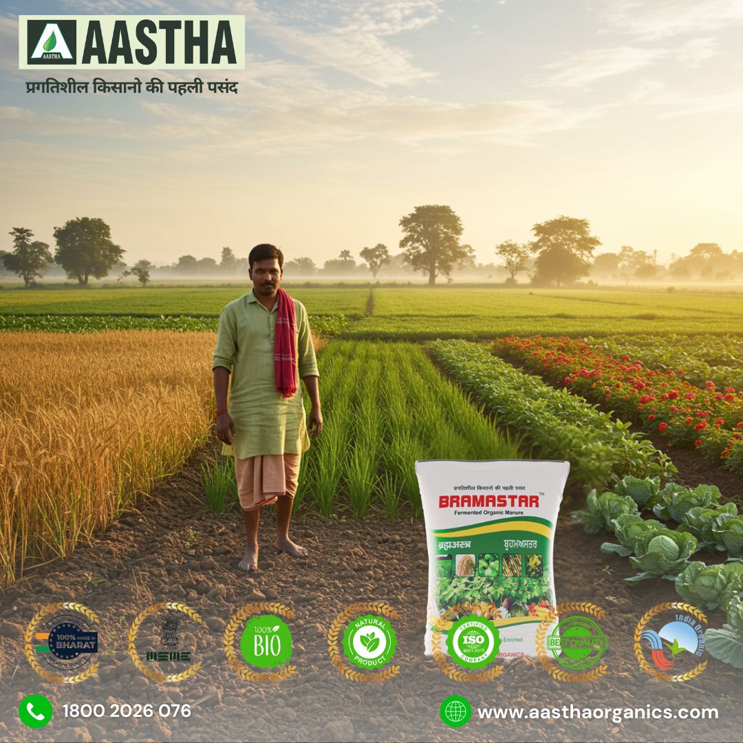 Bramastar Fermented Organic Manure: A Powerful Ally for Soil Health and Sustainable Farming 